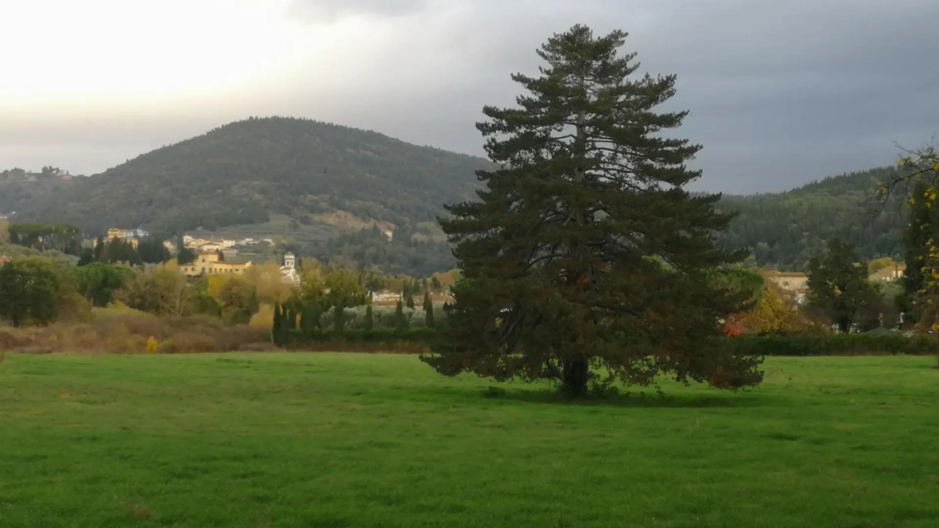 Apartamento Open Space Nel Parco Con Parcheggio Gratuito Florencia
